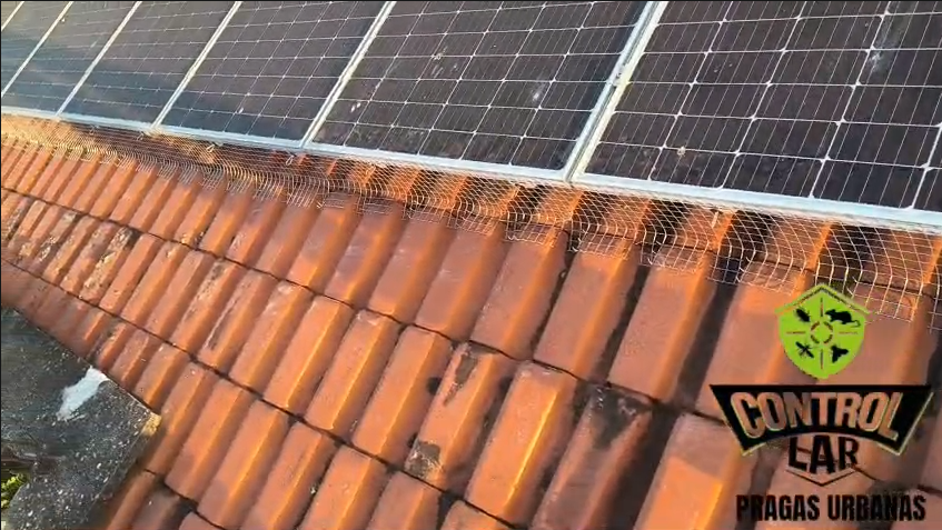 Serviço de telamento de painéis solares profissional